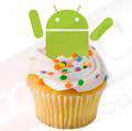 V1.5 Cupcake