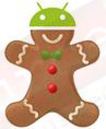 V2.3 Gingerbread